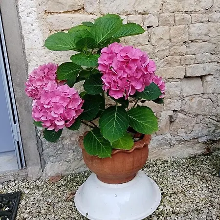 Dunroamin Couture-d'Argenson